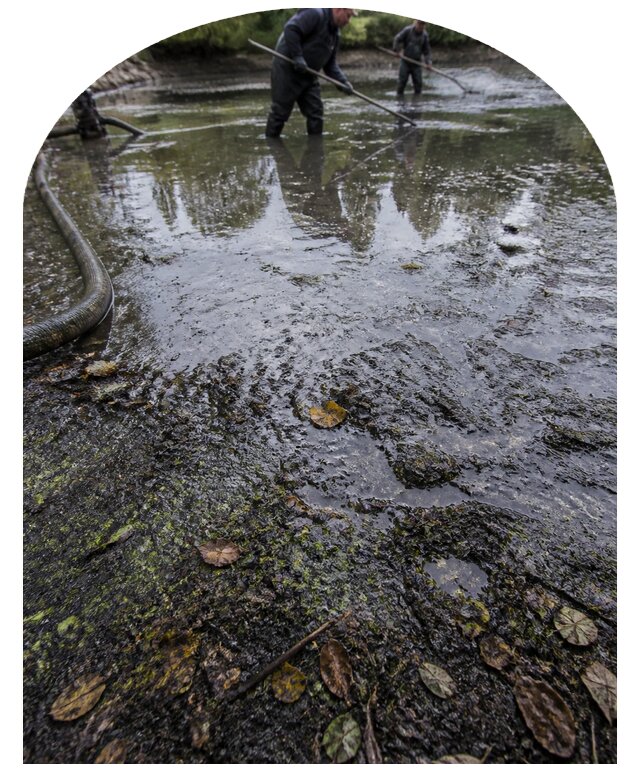 Очистка пруда в Великих Луке от ила мусора и водорослей с вывозом